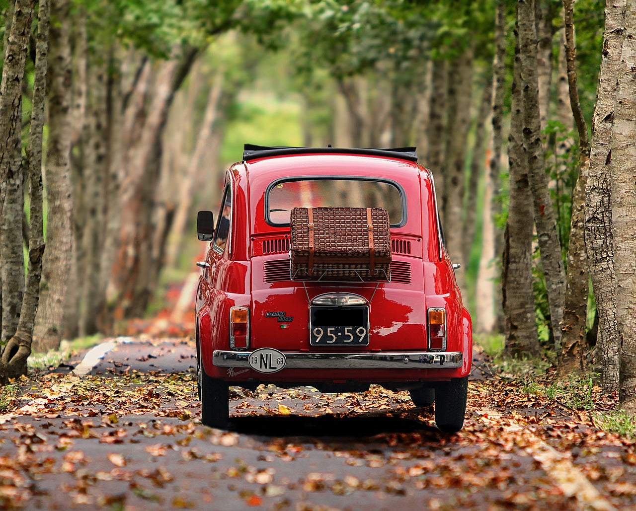 Preventing and Treating Car Sickness in Dogs: Tips for a Smooth Ride
